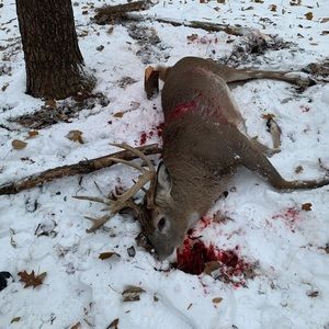 Meet your Posher, Kyle